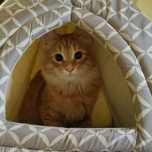 Meet your Posher, Jazmyn