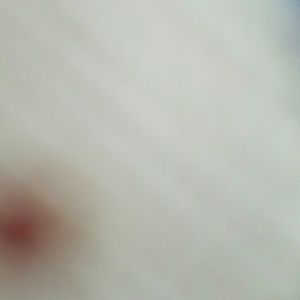 Meet your Posher, Zaida