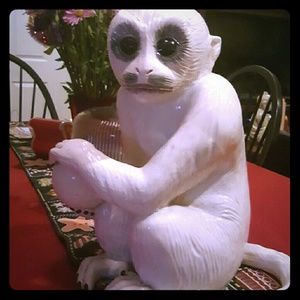 Monkey capuchin statue from italy