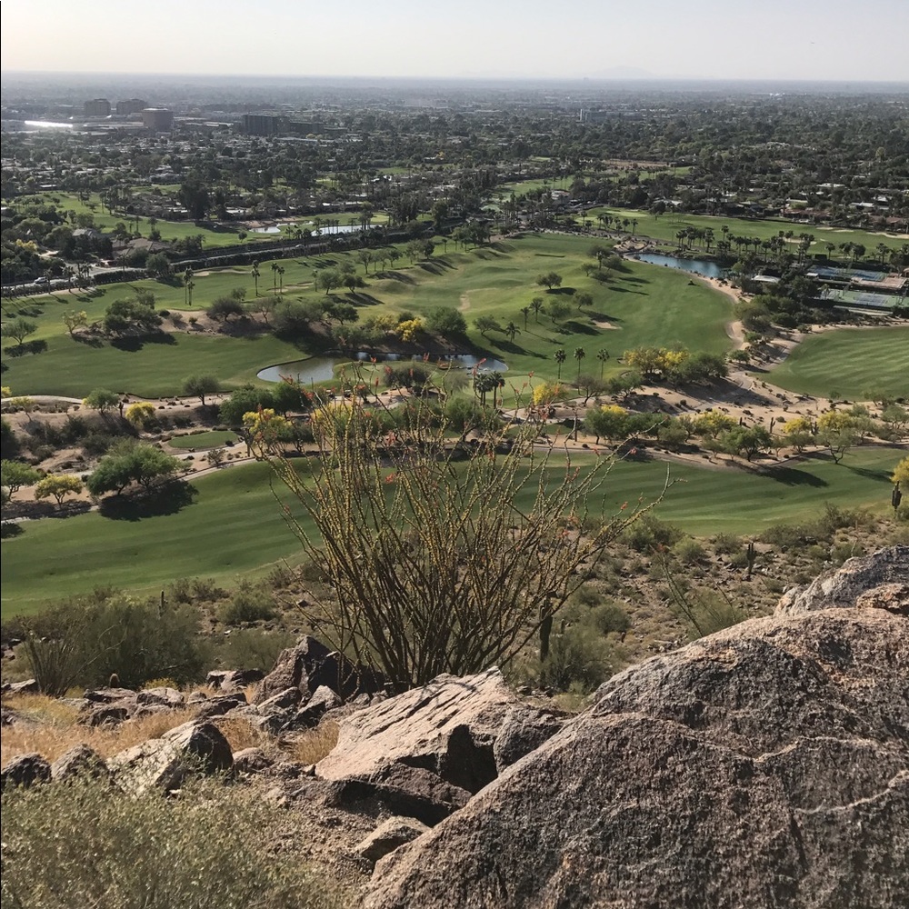 Meet your Posher, Jorrie