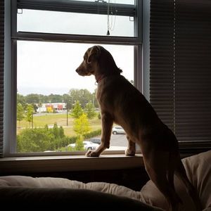 Meet your Posher, Cody