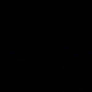 Meet your Posher, Troy