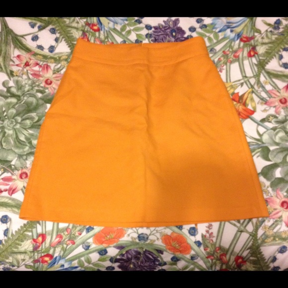 Tangerine Skirt
