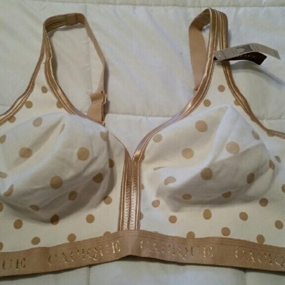 Lane Bryant wireless bra