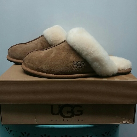UGG Shoes - New in Box UGG Scuffette II Slipper-Size 10