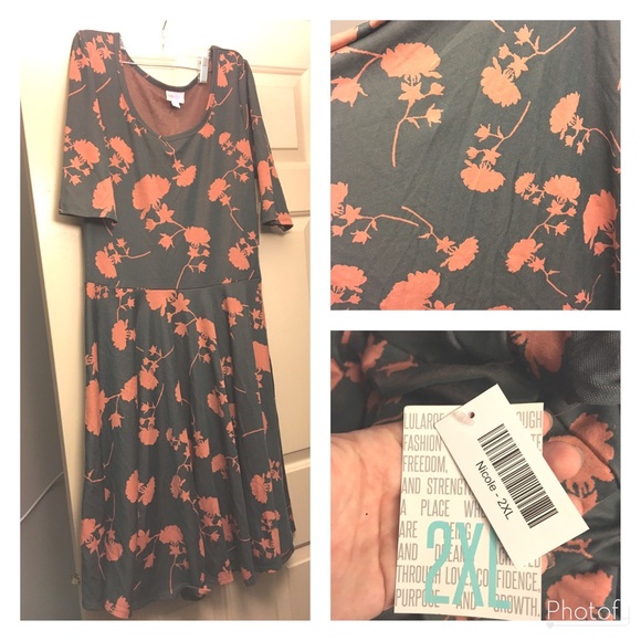 BNWT LulaRoe Nicole Dress