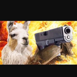 Meet your Posher, Jorge