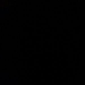 Meet your Posher, Felix