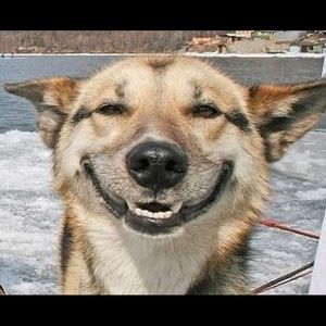 Meet your Posher, Jill