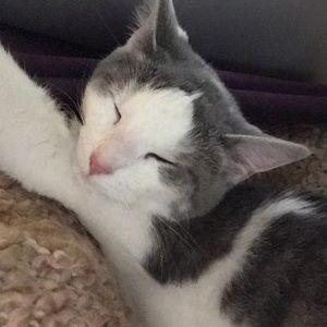 Meet your Posher, Aria