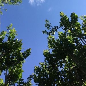 Meet your Posher, Joy