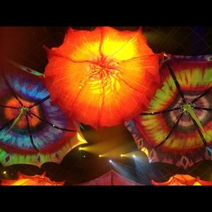 Meet your Posher, Surabhi