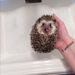 H a p p y | Adorable Day Everyone