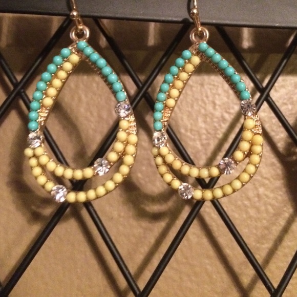 Francesca's earrings