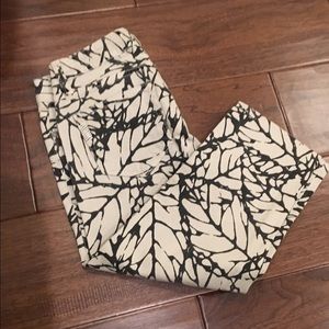 PAIGE designer denim with splash print size 25