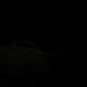 Meet your Posher, Tay