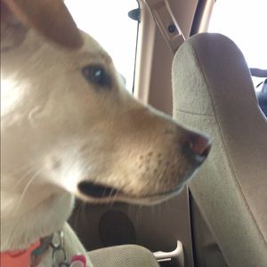 Meet your Posher, Ryan