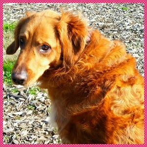 Meet your Posher, Michele