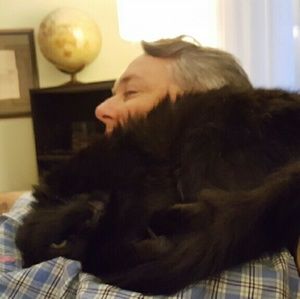 Meet your Posher, Don