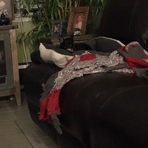 Meet your Posher, Taylor