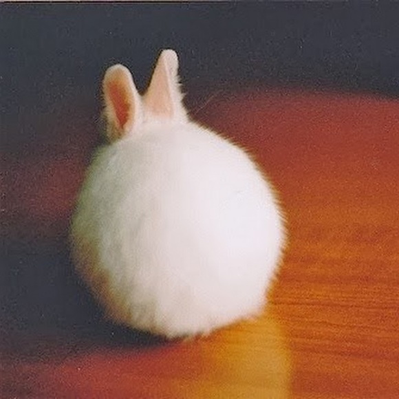 Meet your Posher, Sarah - Picture 1 of 1