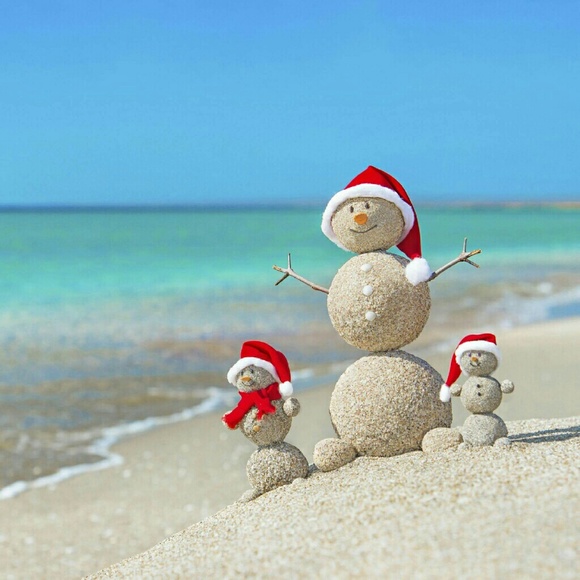 Meet your Posher, Amy - Picture 1 of 1