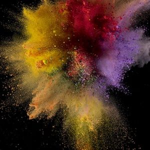 Meet your Posher, Martha