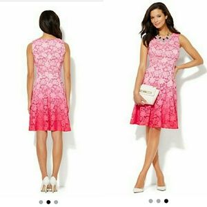 Pink Ombre New York & Co. Dress NWOT