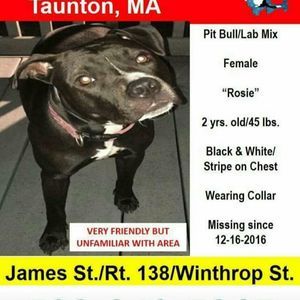 Meet your Posher, Dawn