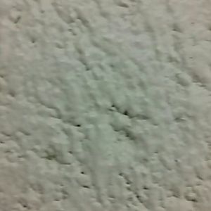 Meet your Posher, Tyra