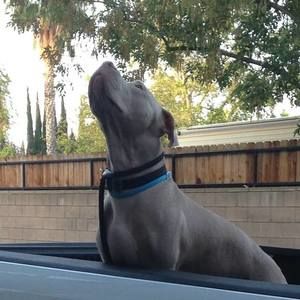 Meet your Posher, Cheryl