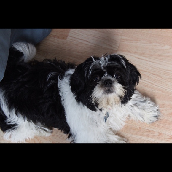 Meet your Posher, Austin - Picture 1 of 1