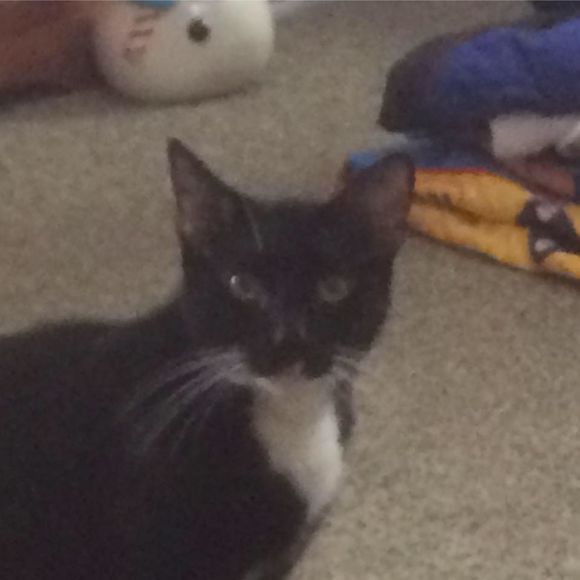 Meet your Posher, Nathan - Picture 4 of 9