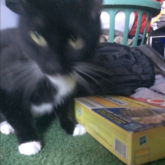 Meet your Posher, Nathan - Picture 5 of 9