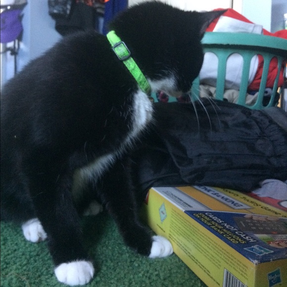 Meet your Posher, Nathan - Picture 7 of 9