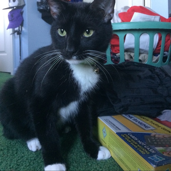 Meet your Posher, Nathan - Picture 2 of 9