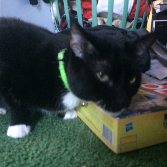 Meet your Posher, Nathan - Picture 8 of 9