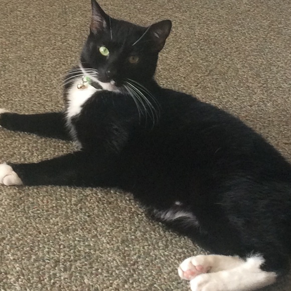 Meet your Posher, Nathan - Picture 6 of 9