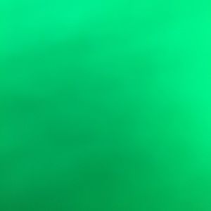 Meet your Posher, Amelia