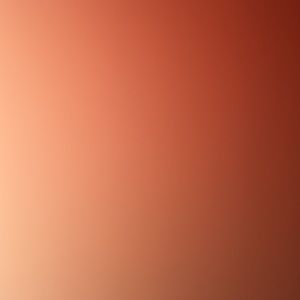 Meet your Posher, Evans