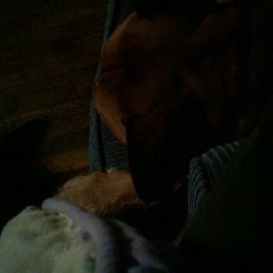 Meet your Posher, Adrian