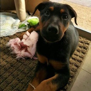 Meet your Posher, Hailey