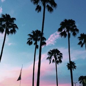 Meet your Posher, Emilee