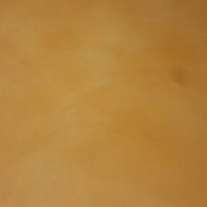 Meet your Posher, Tali