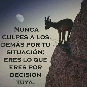 Meet your Posher, Elmer