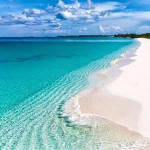 Meet your Posher, Adelita