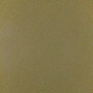 Meet your Posher, Elliot