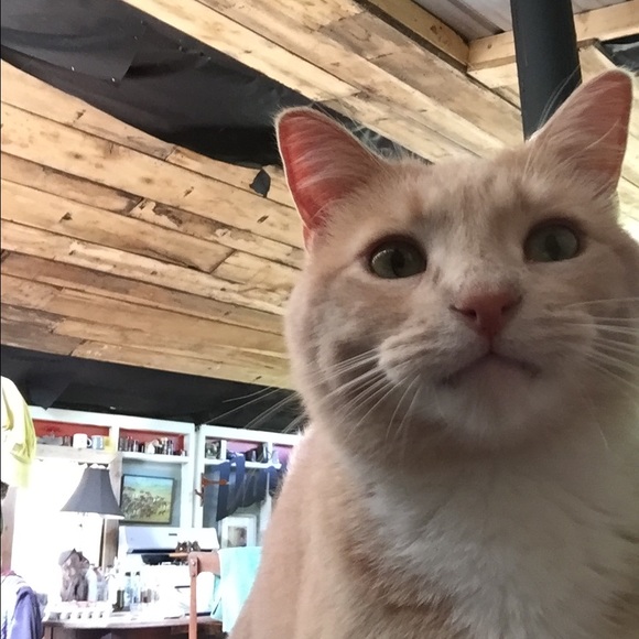 Meet your Posher, Marisa