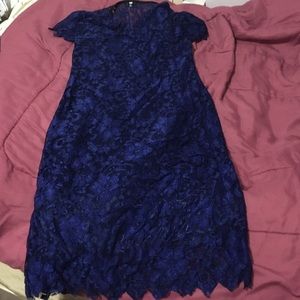 Nwot navy lace dress