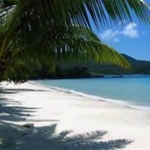 Meet your Posher, Lanny